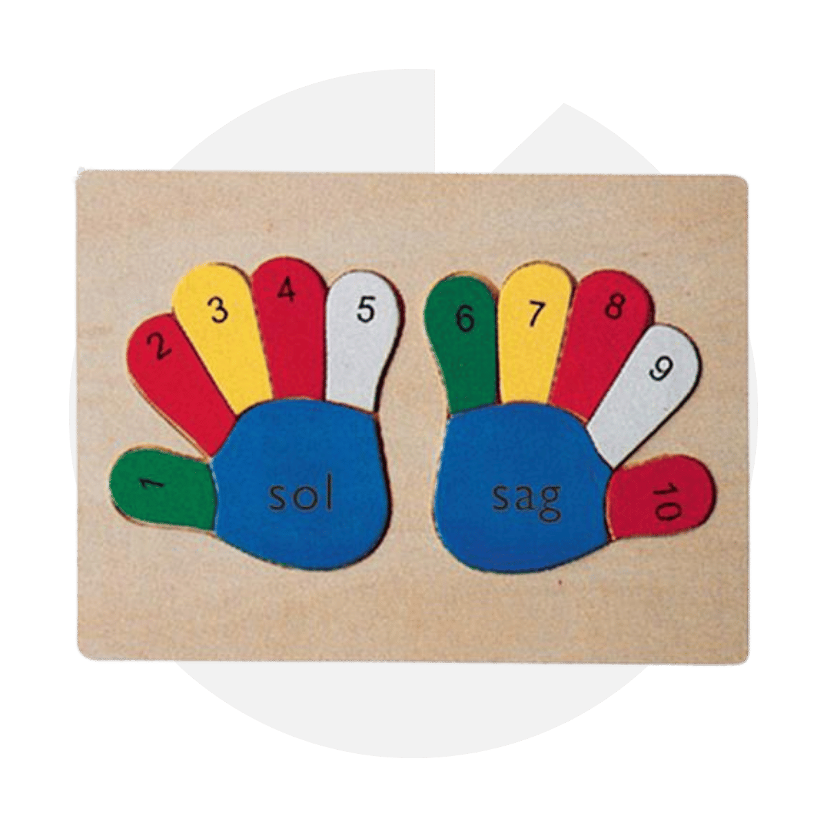 Parmaklarımız Puzzle - Sağ Sol ve Sayı Öğreten Ahşap Set