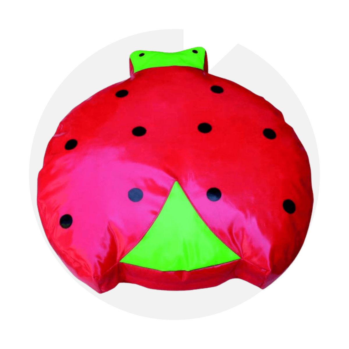 Uğur Böceği Minder