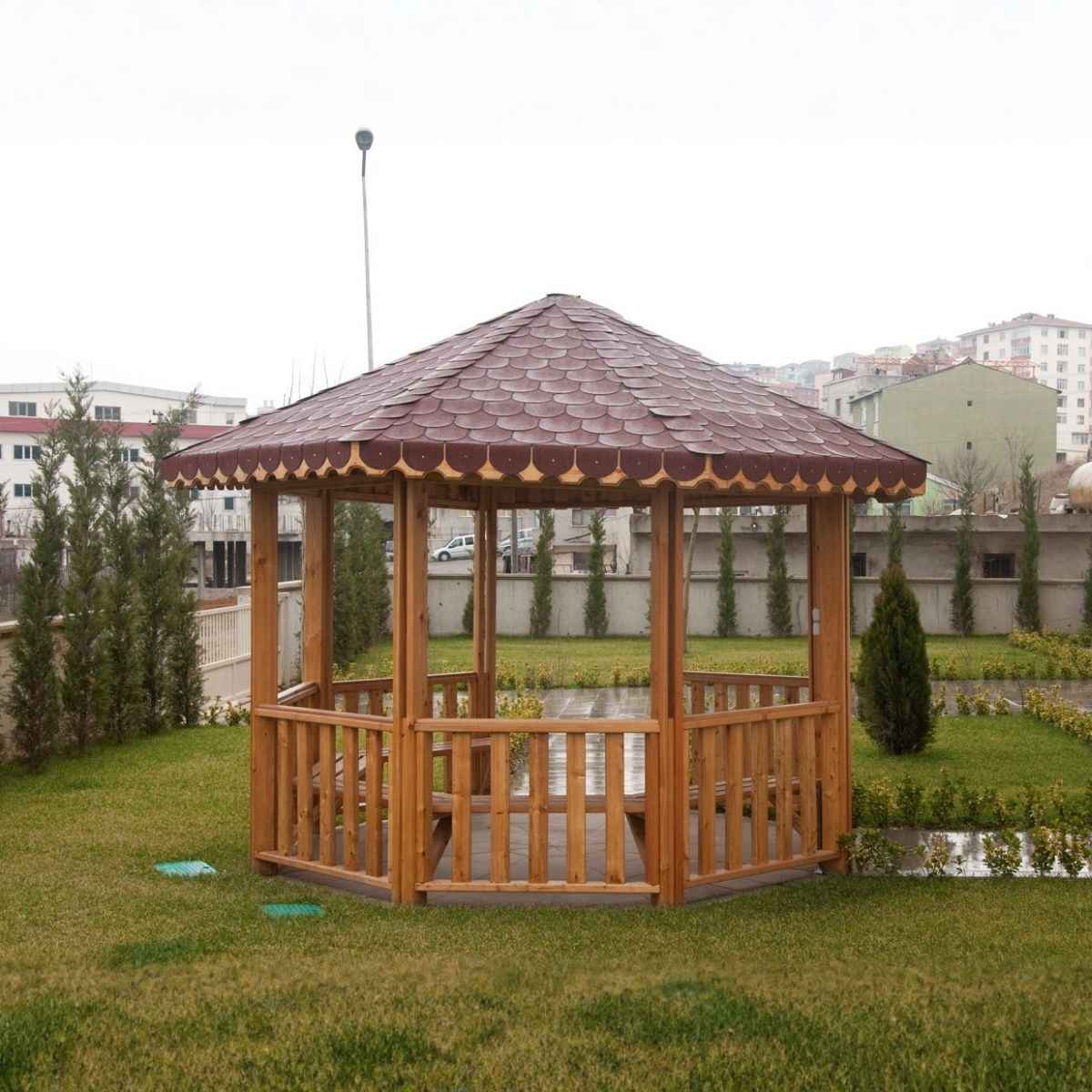 Bahçeli Kamelya - Görsel 2